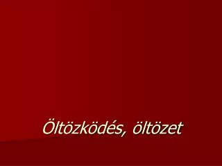 lt zk d s lt zet