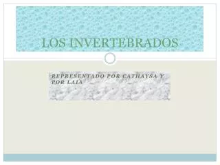 los invertebrados