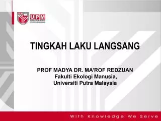 tingkah laku langsang