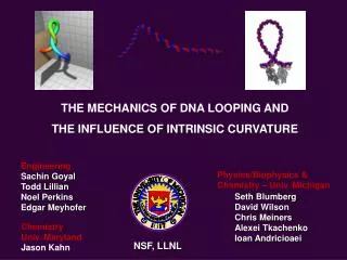 THE MECHANICS OF DNA LOOPING AND THE INFLUENCE OF INTRINSIC CURVATURE