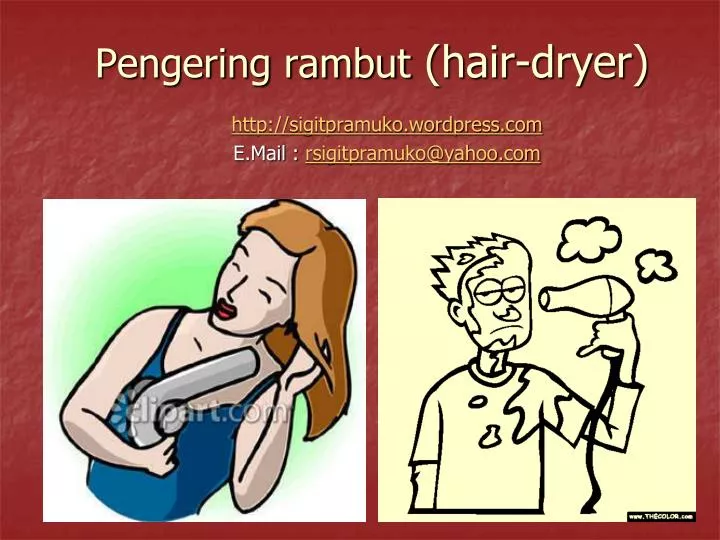 pengering rambut hair dryer
