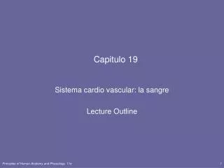 capitulo 19