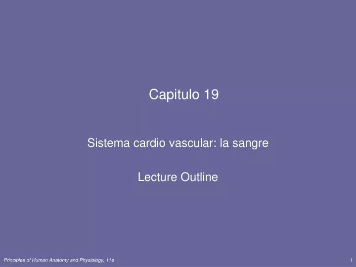 capitulo 19