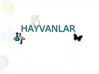 hayvanlar