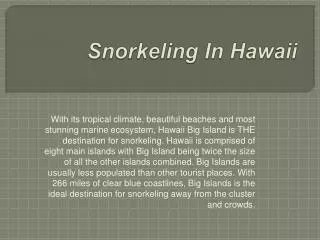 best snorkeling in hawaii big island