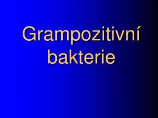 grampozitivn bakterie