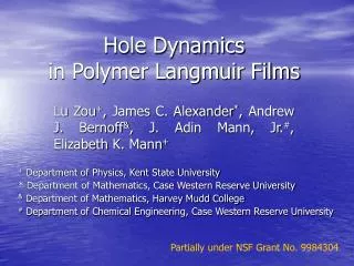 Hole Dynamics in Polymer Langmuir Films