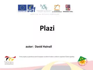 plazi