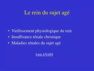 le rein du sujet ag