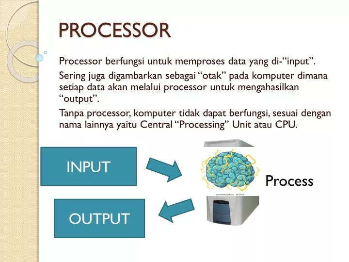 processor