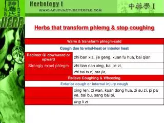 Herbs that transform phlemg &amp; stop coughing