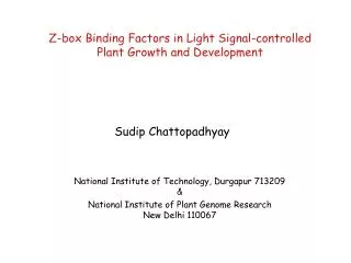Z-box Binding Factors in Light Signal-controlled Plant Growth and Development