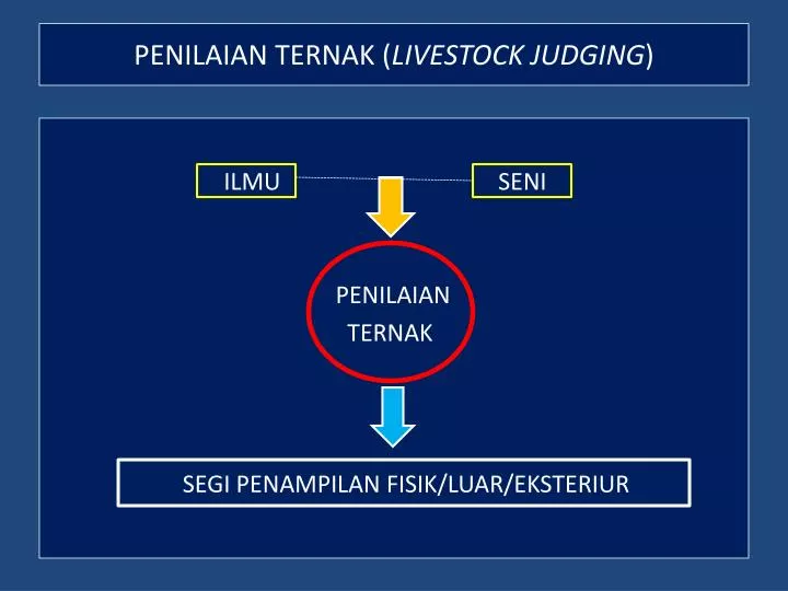 penilaian ternak livestock judging