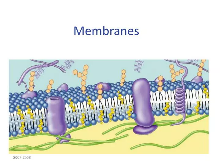 membranes