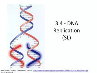 3 4 dna replication sl