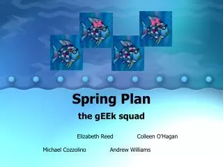 Spring Plan