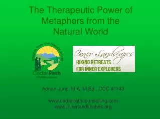 The Therapeutic Power of Metaphors from the Natural World