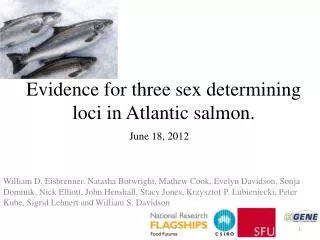 Evidence for three sex determining loci in Atlantic salmon.