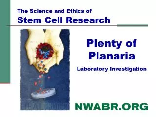 Plenty of Planaria Laboratory Investigation