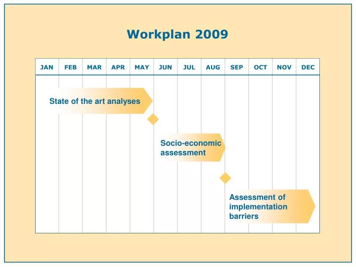 workplan 2009