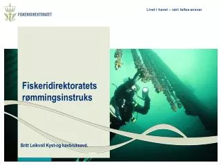 fiskeridirektoratets r mmingsinstruks