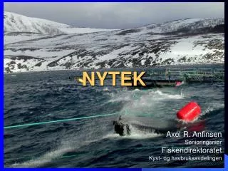 nytek