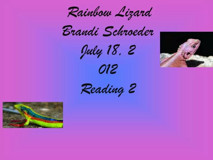 rainbow lizard brandi schroeder july 18 2 012 reading 2