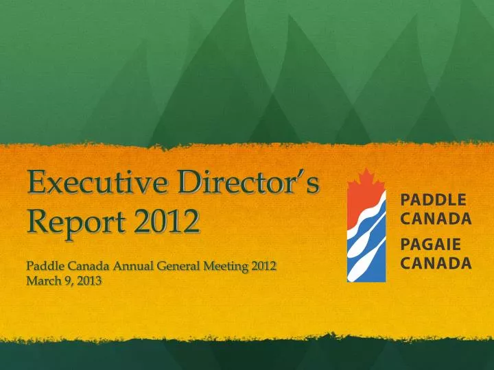 executive director s report 2012