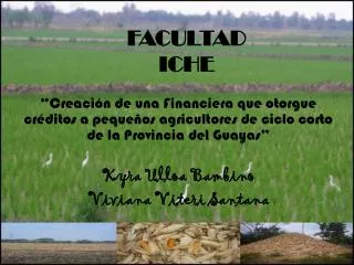 facultad iche