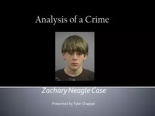 Zachary Neagle Case