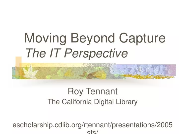 moving beyond capture the it perspective