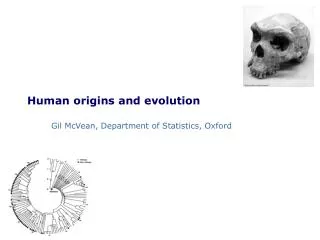 Human origins and evolution