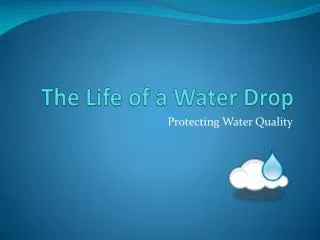 The Life of a Water Drop