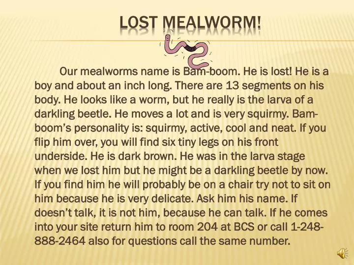 lost mealworm