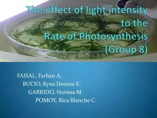 The effect of light intensity to the Rate of Photosynthesis (Group 8)