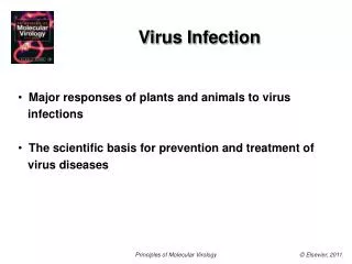 Virus Infection