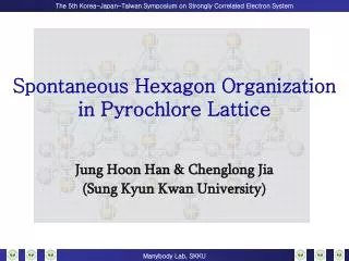 Spontaneous Hexagon Organization in Pyrochlore Lattice