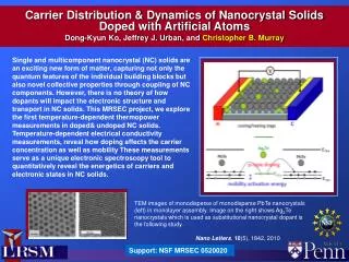 Carrier Distribution &amp; Dynamics of Nanocrystal Solids Doped with Artificial Atoms