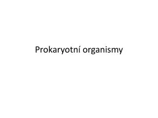 prokaryotn organismy