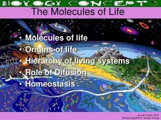 The Molecules of Life