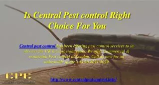Is Central Pest control Right Choice For You