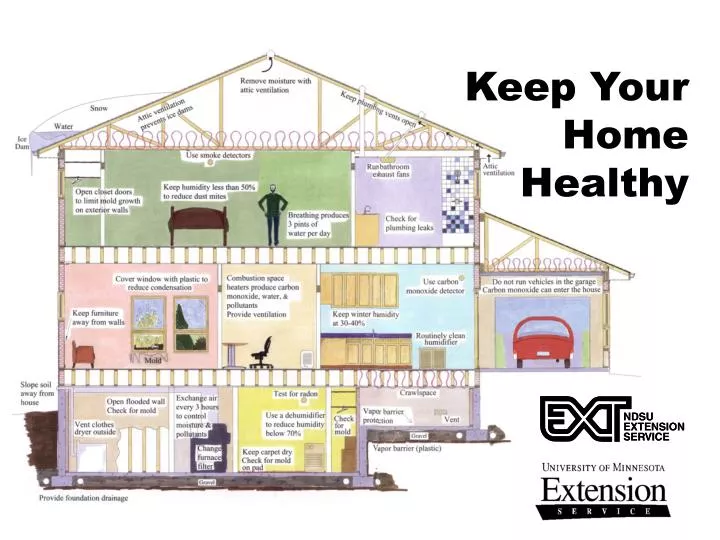 keep your home healthy