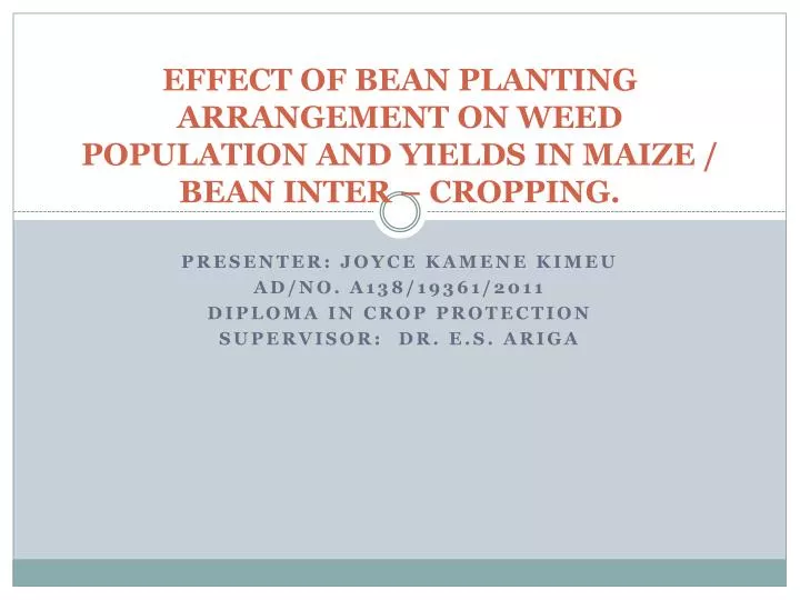 effect of bean planting arrangement on weed population and yields in maize bean inter cropping