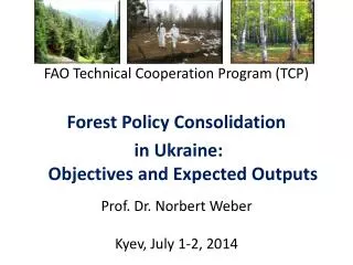 Prof. Dr. Norbert Weber Kyev, July 1-2, 2014