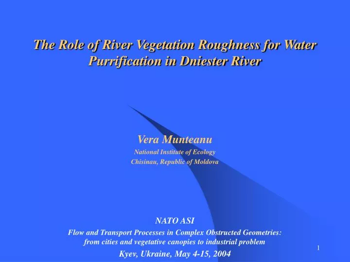 the role of river vegetation roughness for water purrification in dniester river