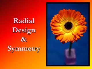 Radial Design &amp; Symmetry