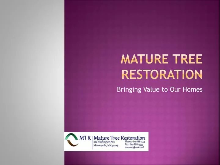 mature tree restoration