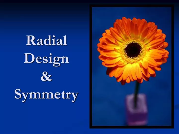 radial design symmetry