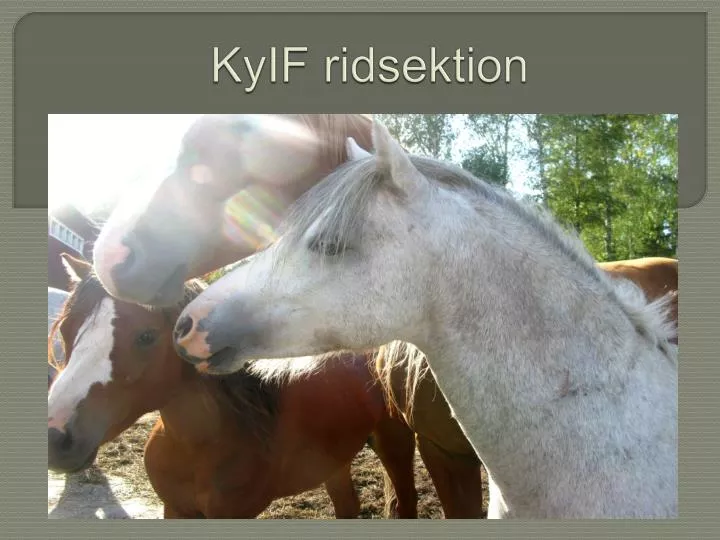 kyif ridsektion