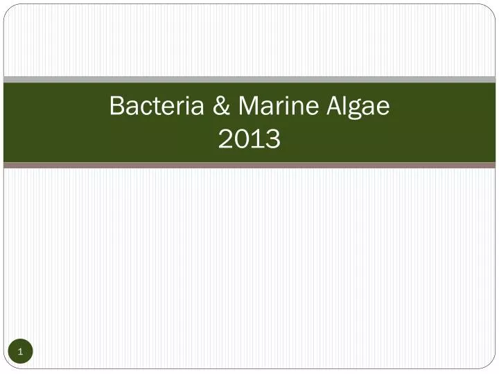 bacteria marine algae 2013